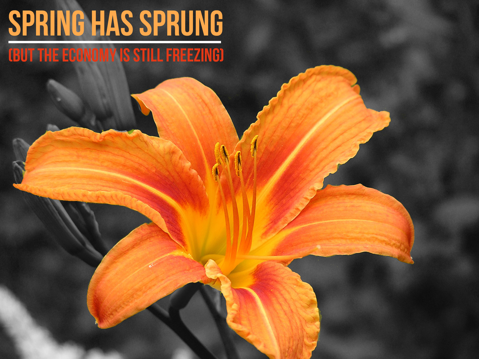Spring-has-Sprung